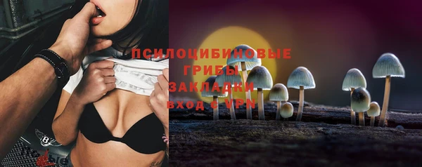 ПСИЛОЦИБИНОВЫЕ ГРИБЫ Беломорск