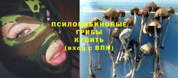 2c-b Белокуриха