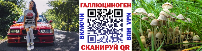 Псилоцибиновые грибы MAGIC MUSHROOMS  Надым 